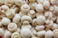 Frozen Mushroom For Export